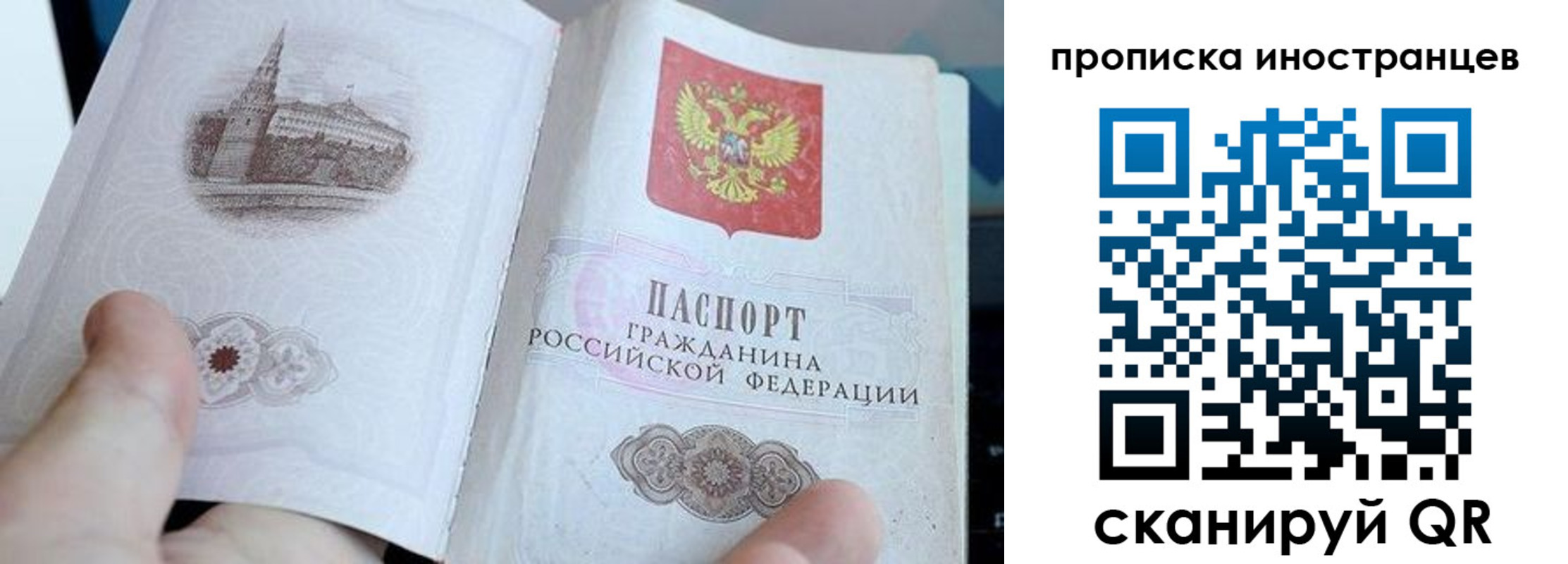 прописка поиск в Ясном